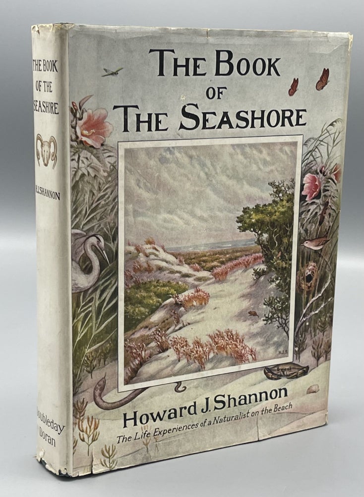 Item #10012 The Book Of The Seashore The Life Experiences Of A Naturalist On The Beach. Howard J. SHANNON.