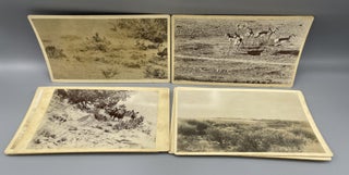 Item #10287 Collection of Eight Colorado Hunting Photographs. Allen and Mary WALLIHAN