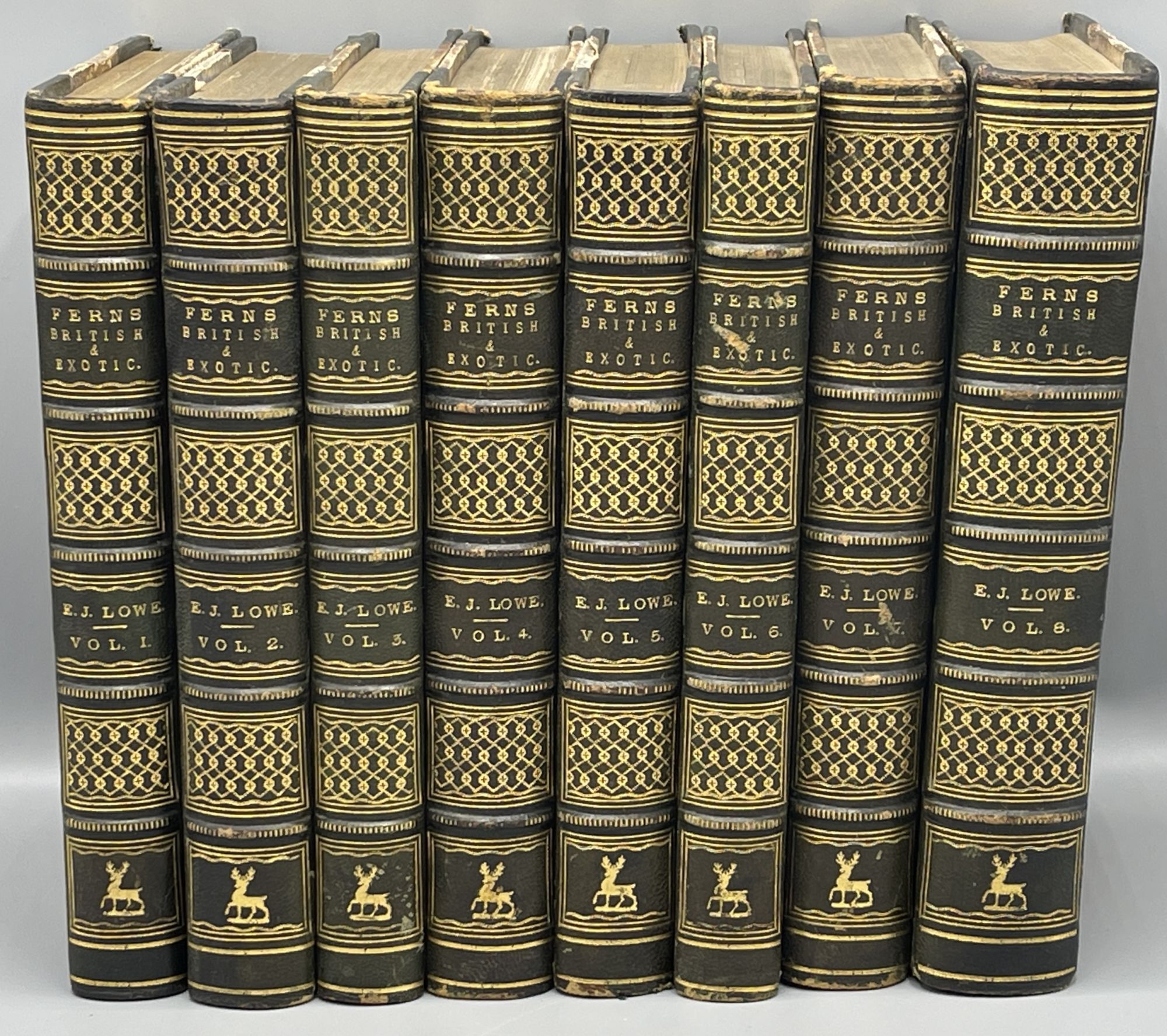 Ferns: British and Exotic 8 Volume Set by E. J LOWE on Caroliniana Rare Books