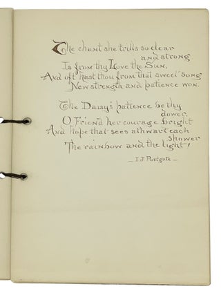 The Daisy