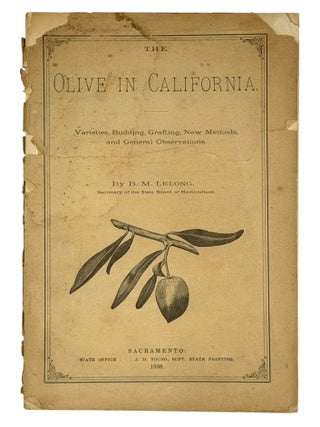 The Olive in California. Varieties, Budding, Grafting, New Methods, and General Observations