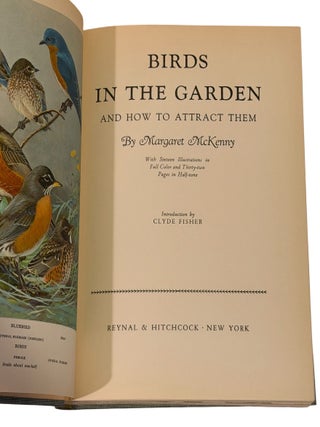 Birds in the Garden and How to Attract Them