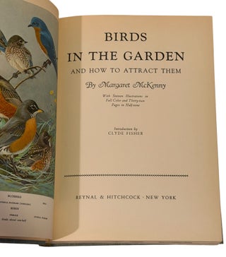 Birds in the Garden and How to Attract Them