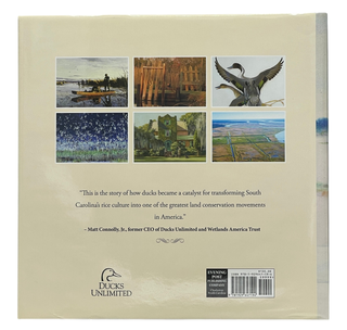 Rice & Ducks The Surprising Convergence That Saved the Carolina Lowcountry
