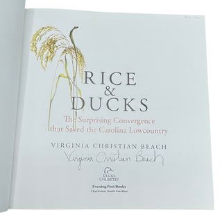 Rice & Ducks The Surprising Convergence That Saved the Carolina Lowcountry
