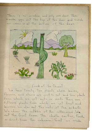 The Pima and Papago Indians