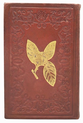 The Magnolia. 1836.