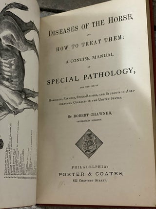 Diseases of the Horse and How To Treat Them: A Concise Manual of Special Pathology. For the use of Horsemen, Farmers, Stock-Raisers, and Students in Agricultural Colleges in the United States